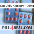 Oral Jelly Kamagra 100Mg 05